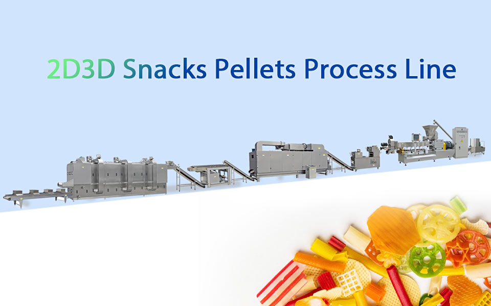 2D3D-Snacks-Pellets-Process-Line.jpg