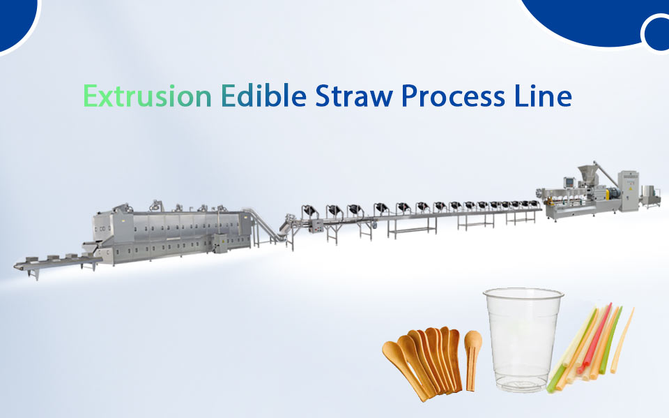Extrusion-Edible-Straw-Process-Line.jpg